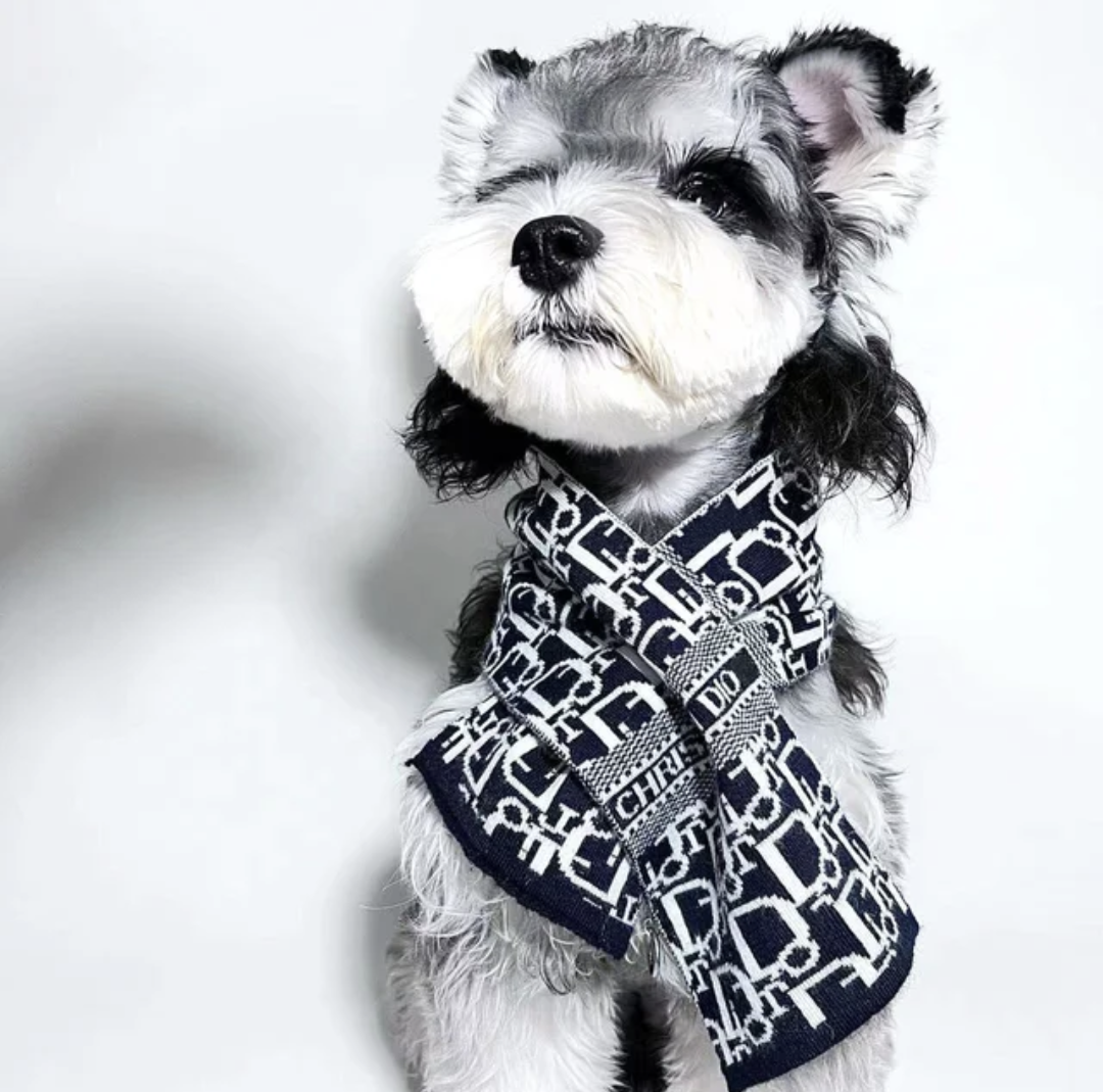 ππππ ππ ππ πΏπ’π₯π’ππ¦