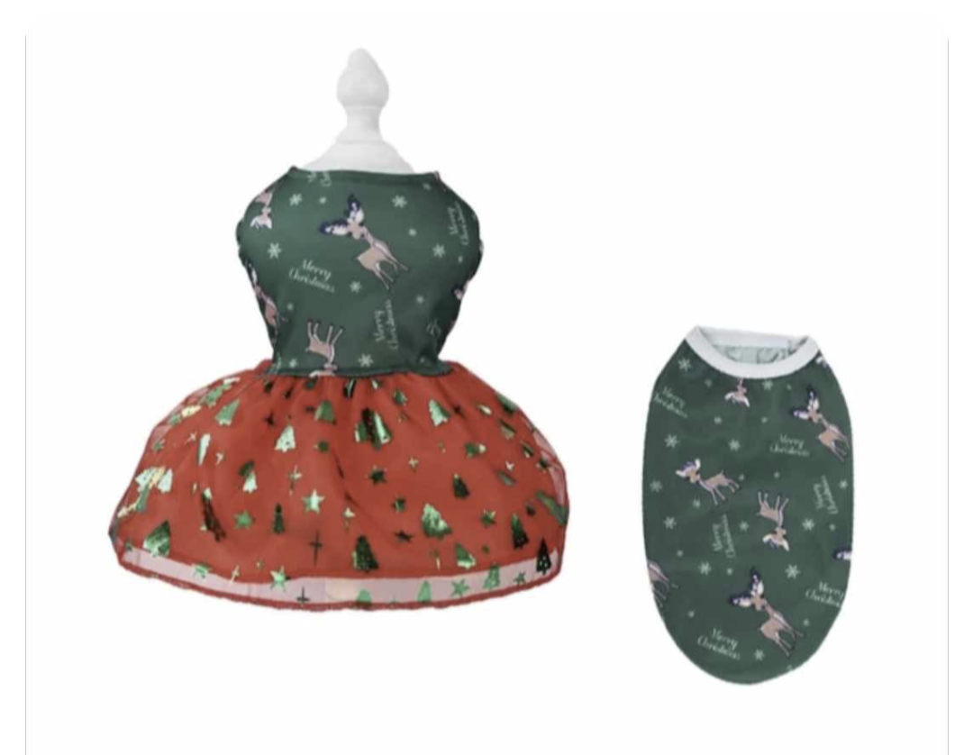 πΆβπππ π‘πππ  πΆβπππ