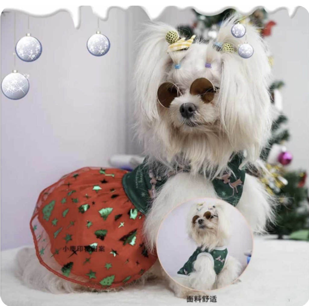 πΆβπππ π‘πππ  πΆβπππ