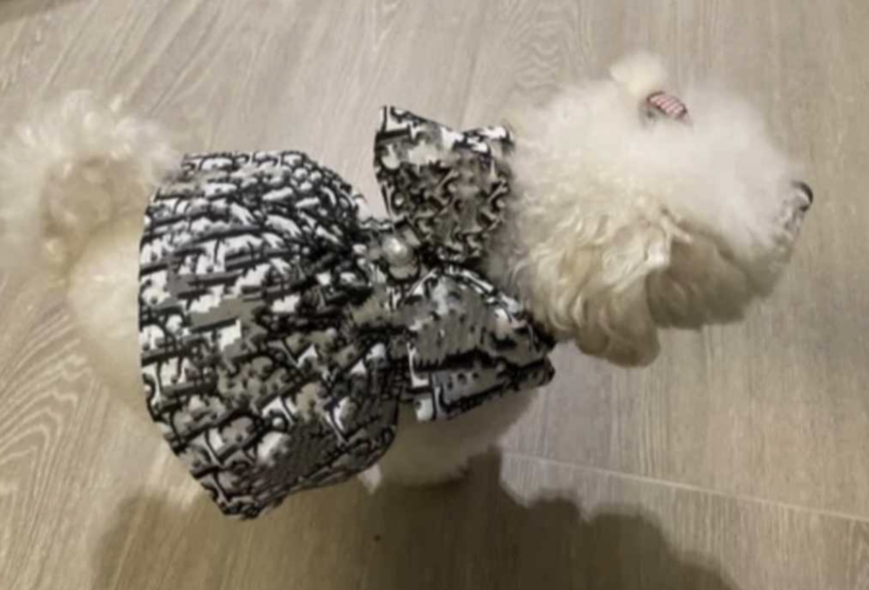 ๐ต๐๐ค ๐๐๐ ๐ท๐๐ก๐ ๐๐๐โ๐ก