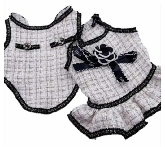 πΊπππ¦ π·ππ‘π πππβπ‘