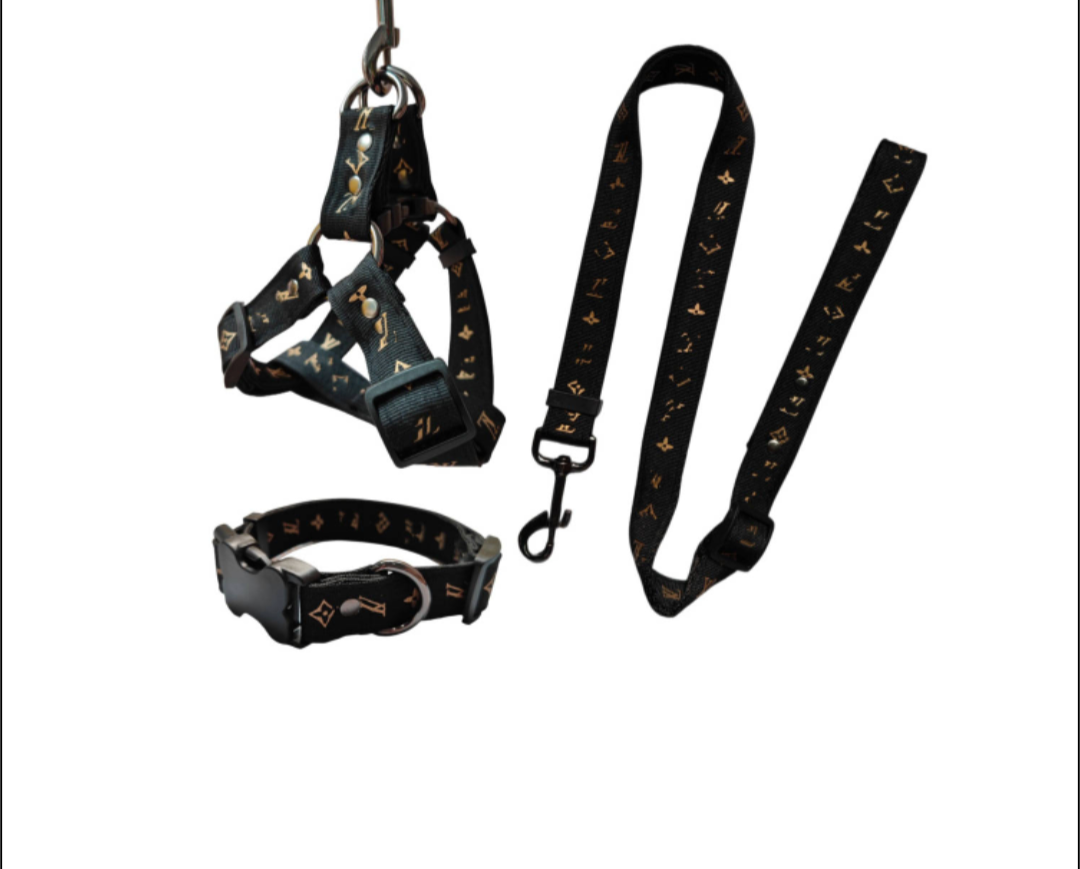 πππ βπππ π»πππππ π  & πΏπππ β πππ‘