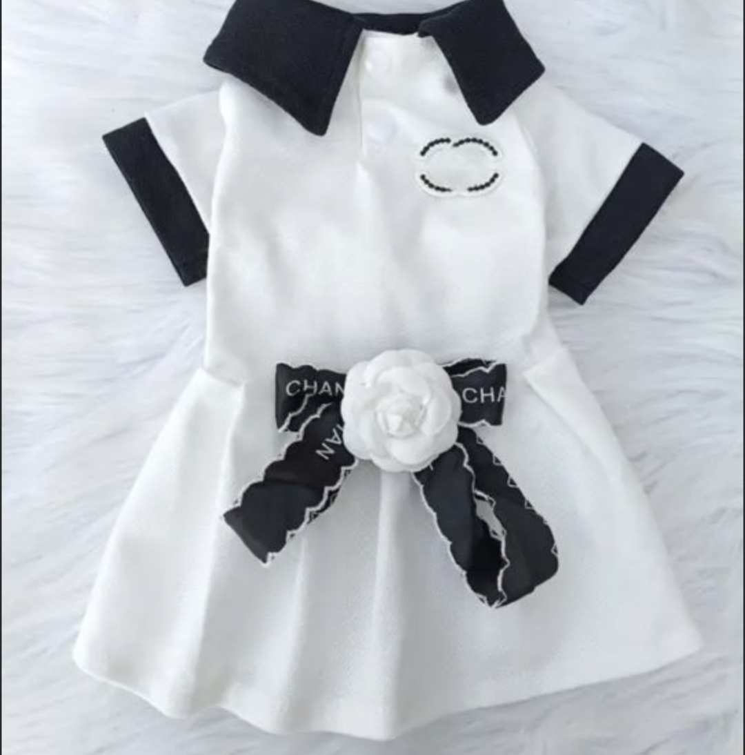 π΅ππππ & πβππ‘π π·ππ‘π πππβπ‘