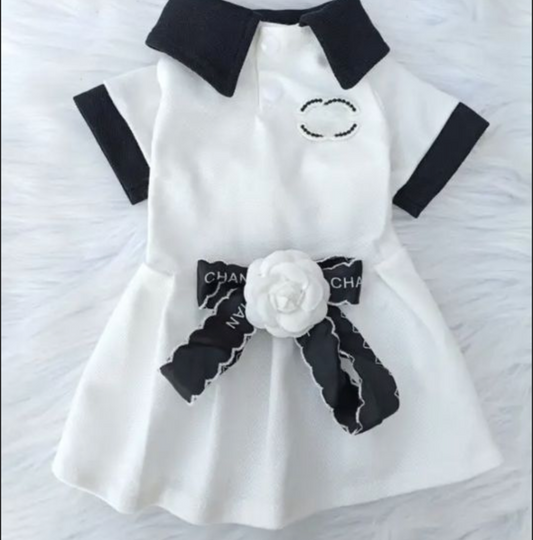 π΅ππππ & πβππ‘π π·ππ‘π πππβπ‘