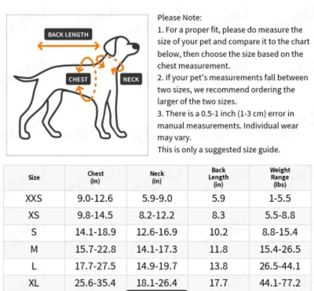 πΏπππ π½πππππ‘