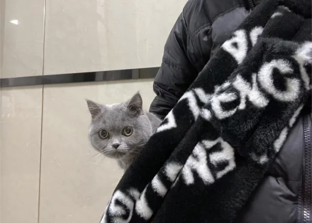 πππππ πΆππππππ