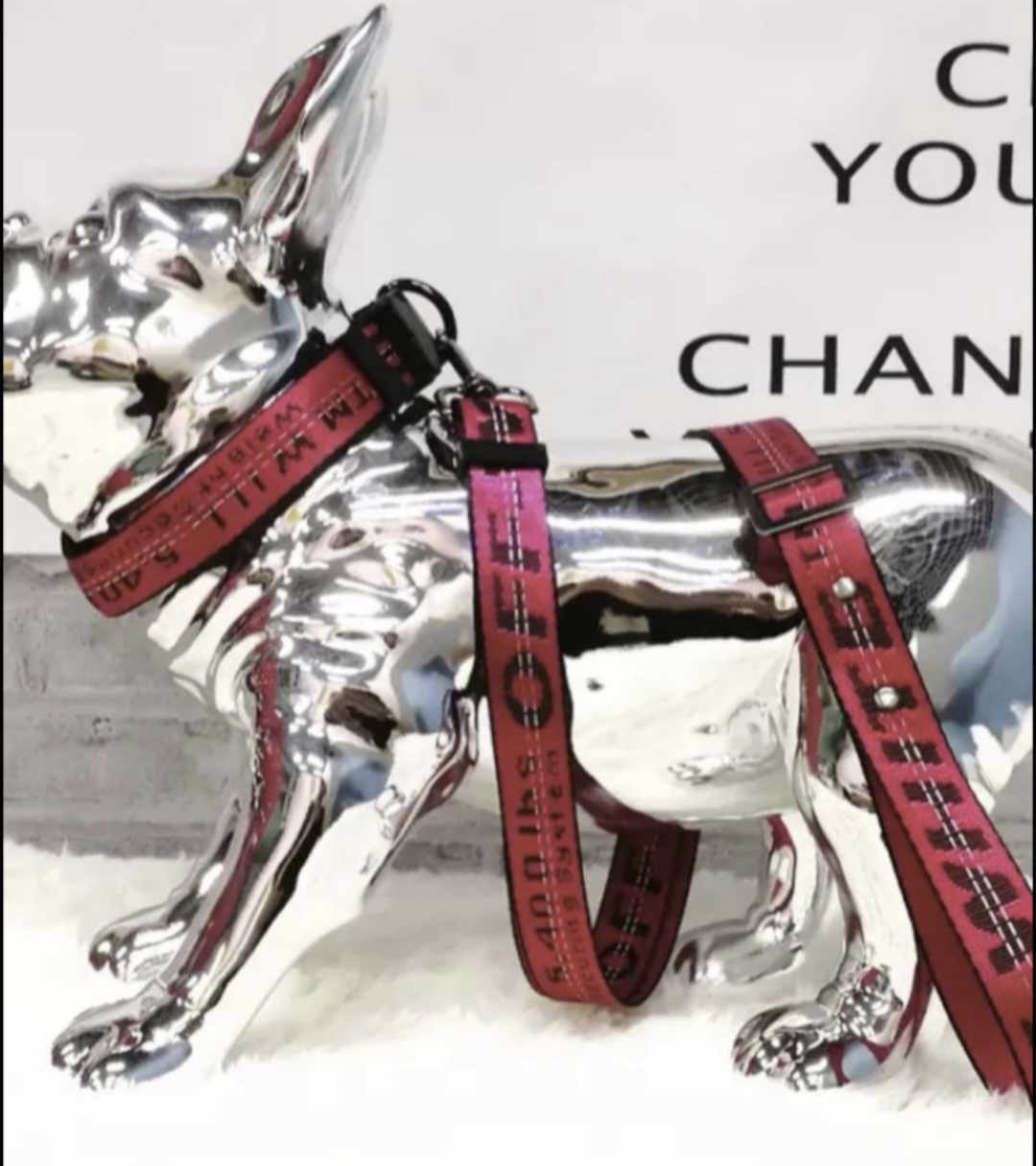 πΏπ’π₯π’ππ¦ πΆπππππ & πΏπππ β πππ‘