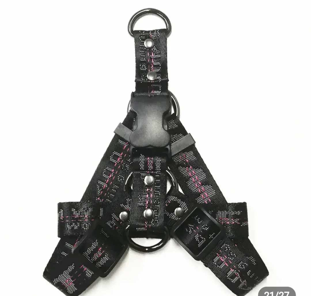 πΏπ’π₯π’ππ¦ πΆπππππ & πΏπππ β πππ‘