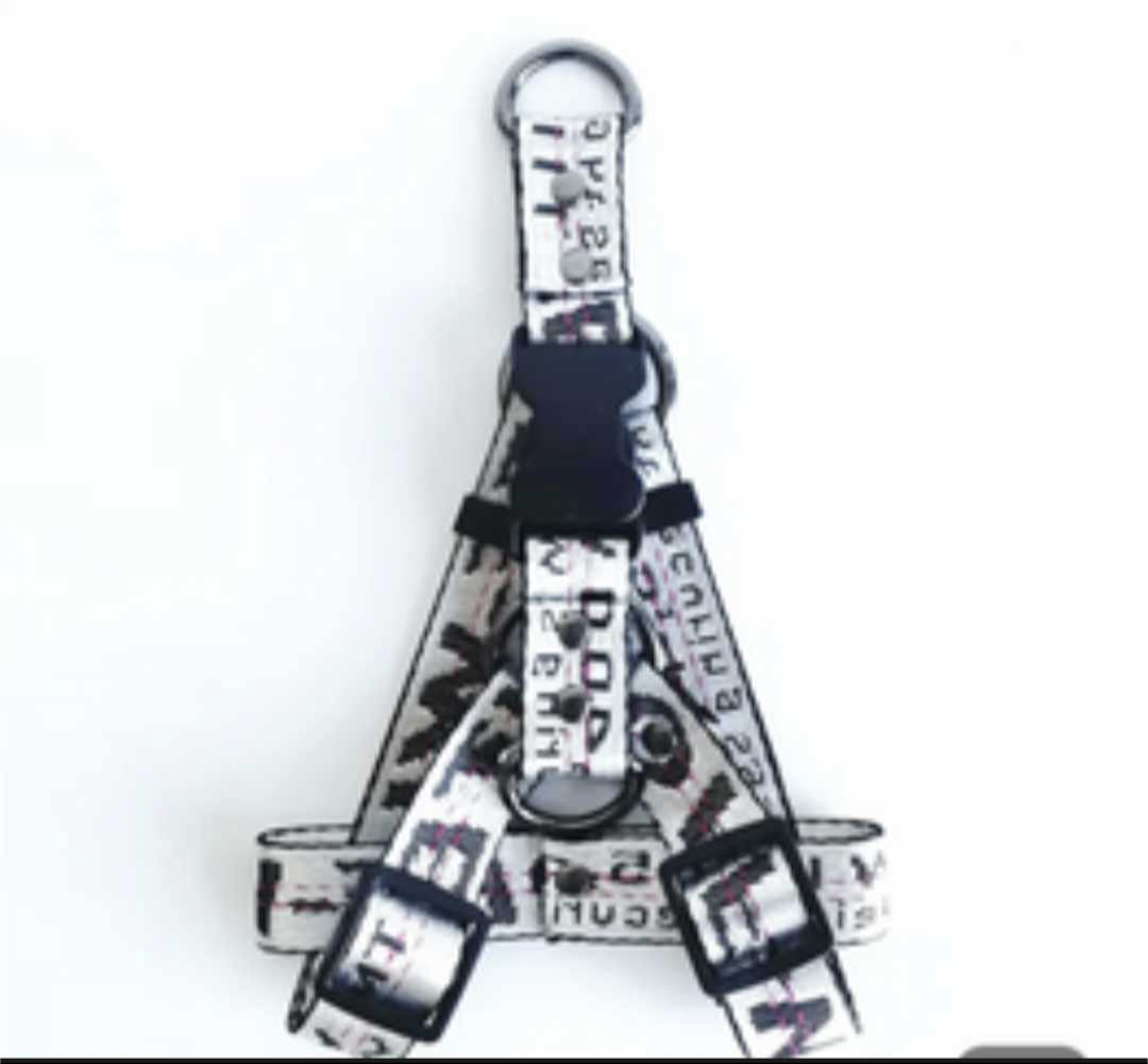 πΏπ’π₯π’ππ¦ πΆπππππ & πΏπππ β πππ‘