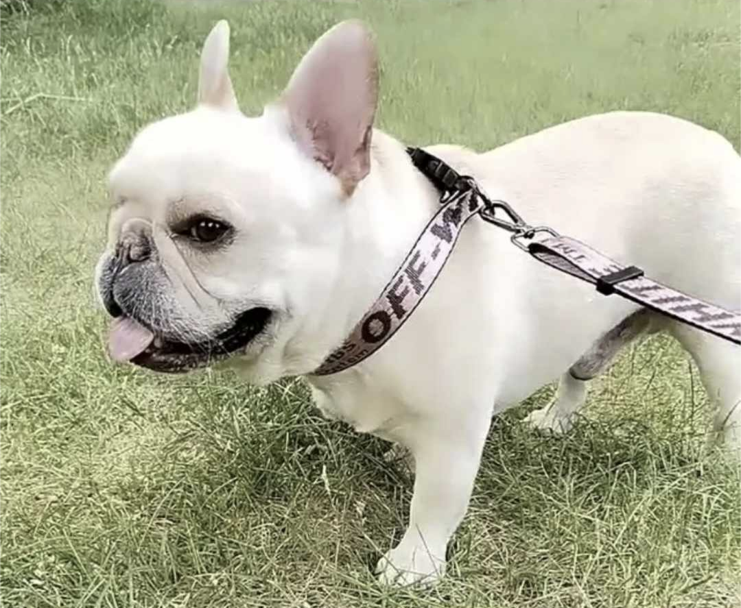 πΏπ’π₯π’ππ¦ πΆπππππ & πΏπππ β πππ‘