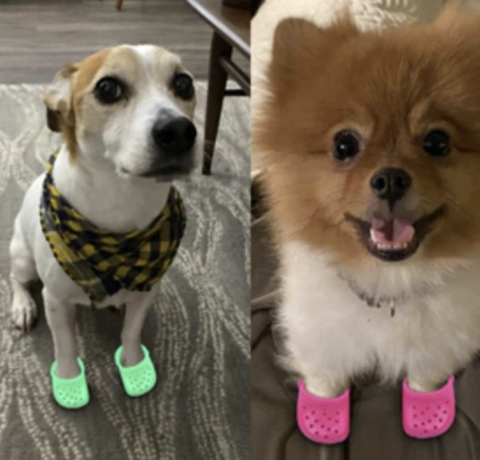 πΆπππ ππ πππππ π