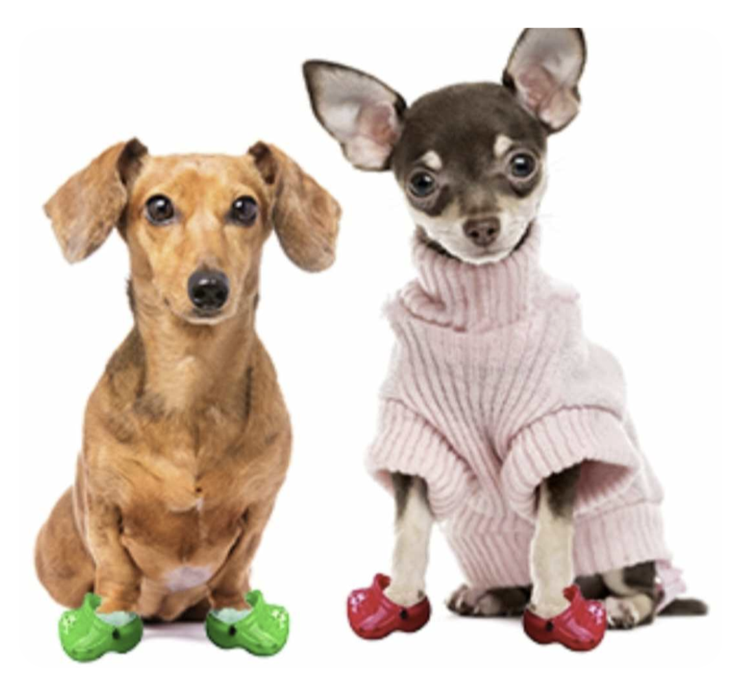 πΆπππ ππ πππππ π