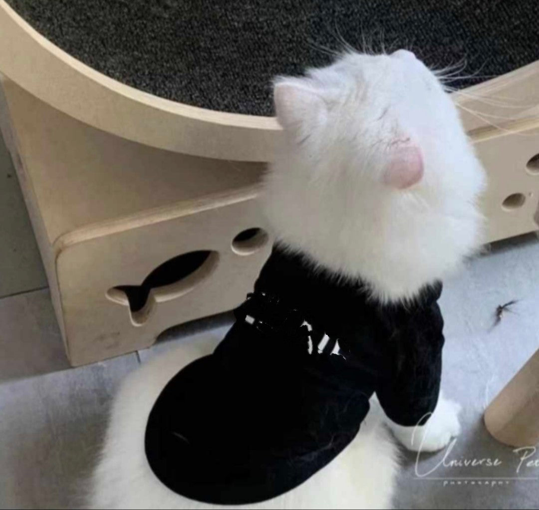 πΆπππππ πβπππ‘