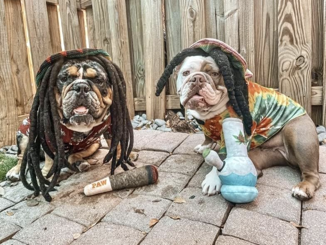 πβππππ πππ¦π