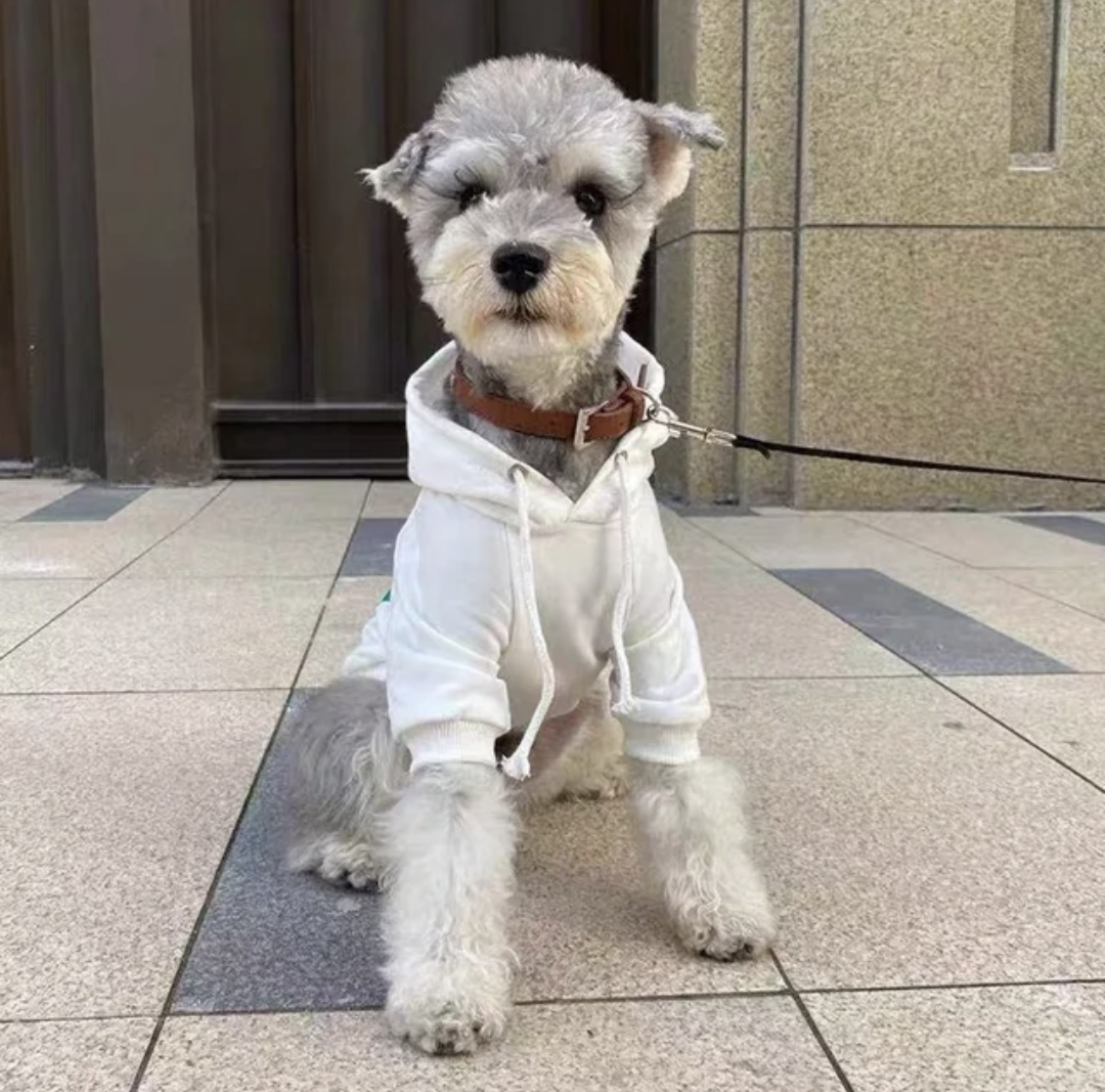 πΆβπππ πππ βπππ