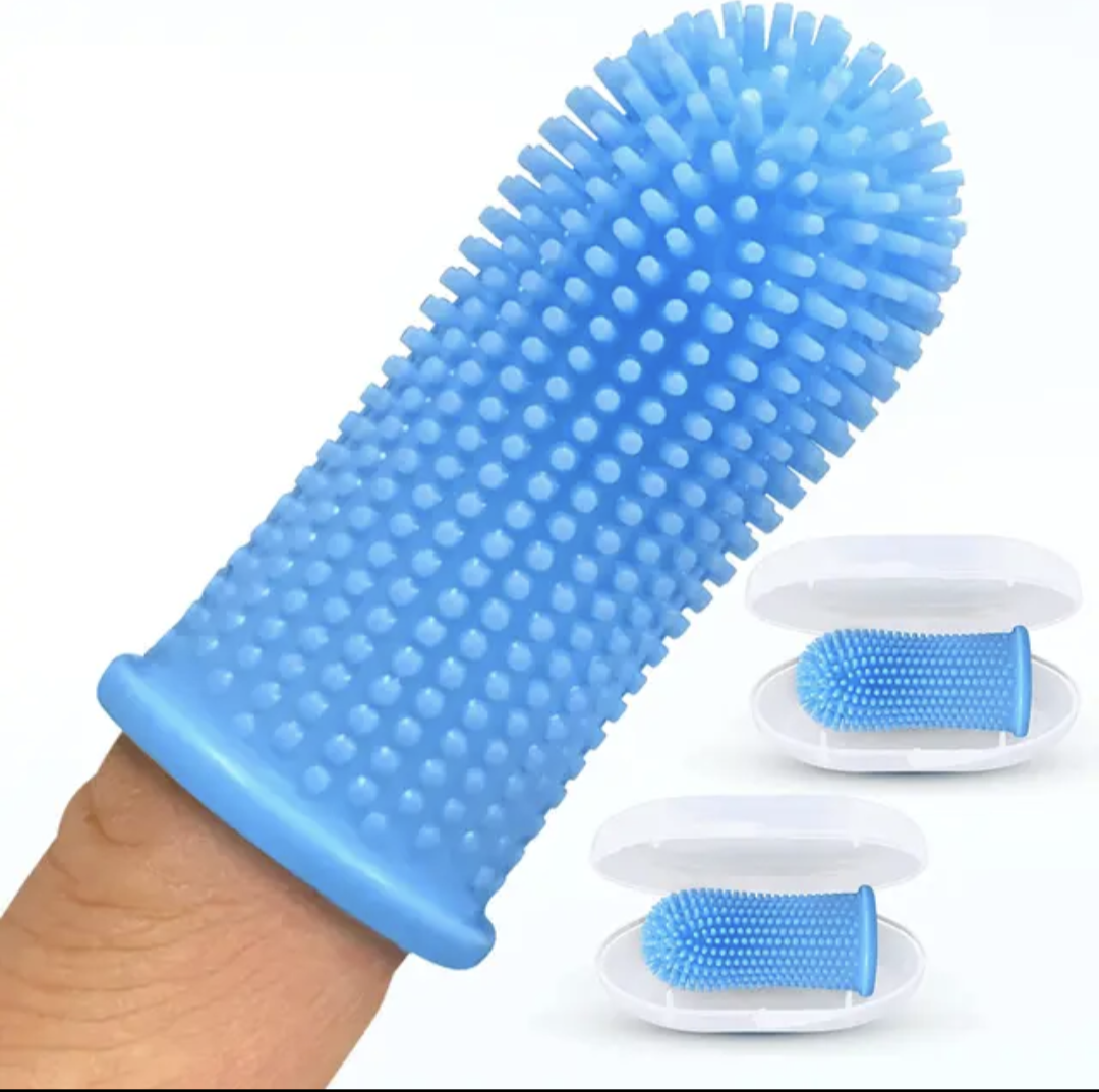 πΉπππππ ππππ‘βπππ’π β