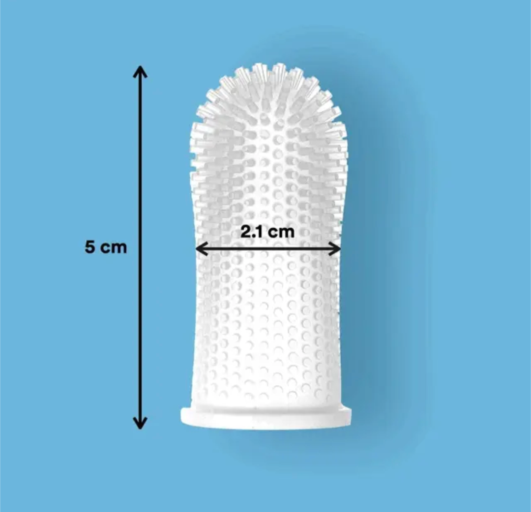 πΉπππππ ππππ‘βπππ’π β