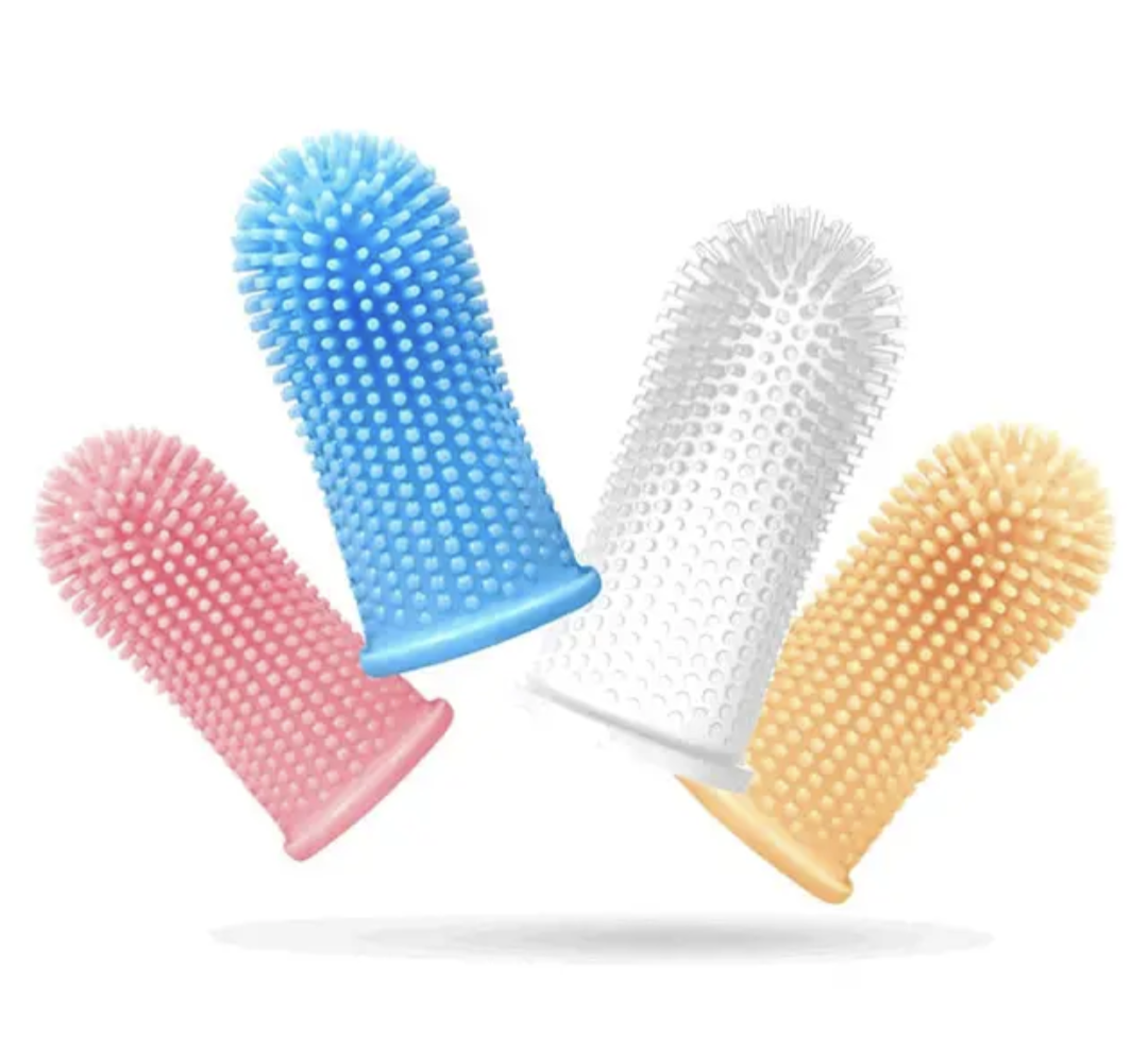 πΉπππππ ππππ‘βπππ’π β