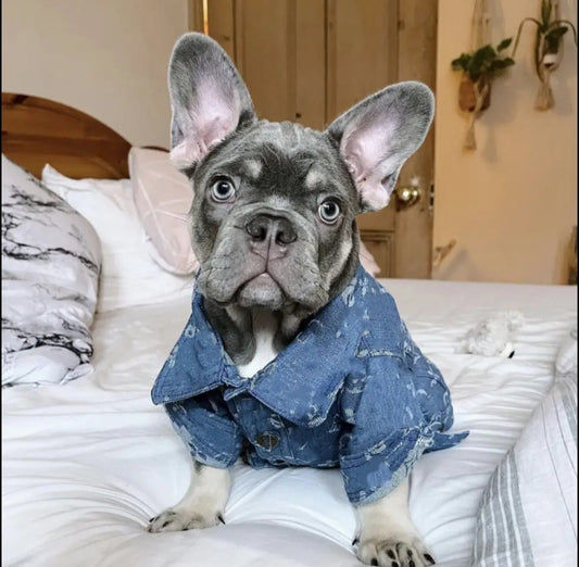Denim Love