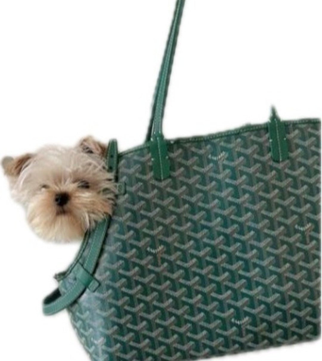 Green Bag Carrier