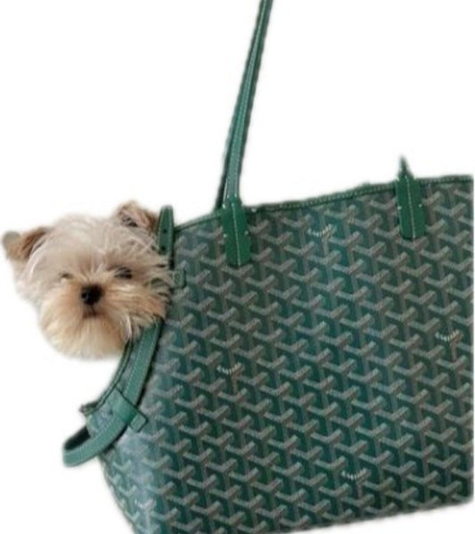 Green Bag Carrier